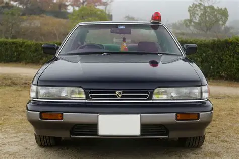 Ники Минаж: От Королевы Рэпа до Иконы Поп-Культуры