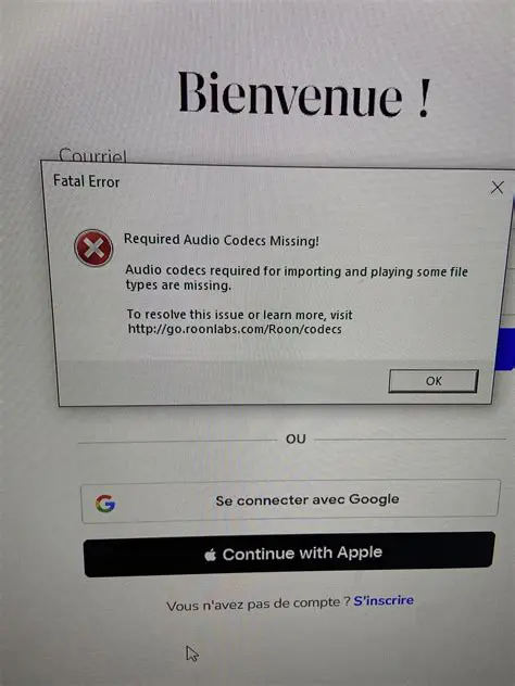 No additional programs or codecs required
