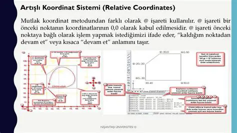 Nokta ve Koordinat Sistemleri