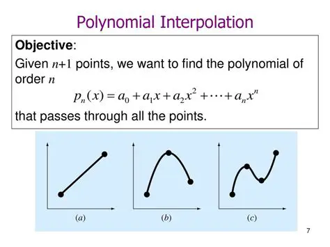 Numerical Methods for Polynomial Interpolation