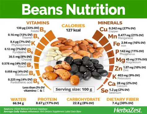 Nutritional Information of Cooked Beans