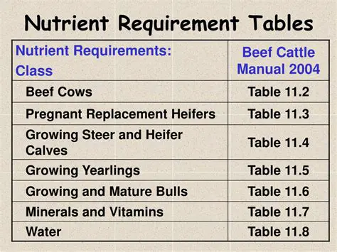 Nutritional Requirements of Beef Cattle