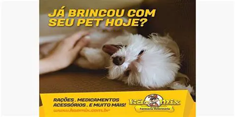 O Caso da Pet Shop do Engenho de Dentro