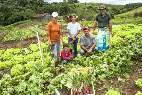 O Desafio dos Pequenos Agricultores