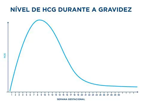 O Papel do hCG na Gravidez
