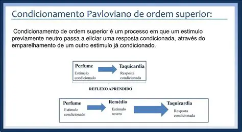 O Processo de Condicionamento Respondente