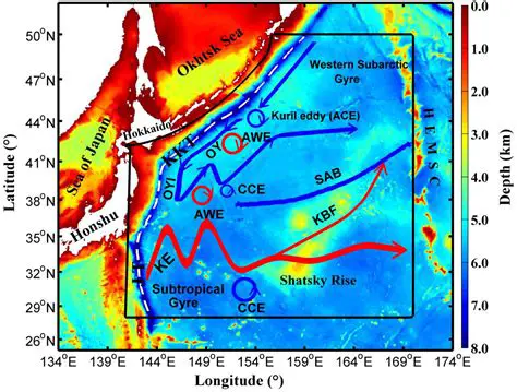 Ocean current and atmospheric analysis