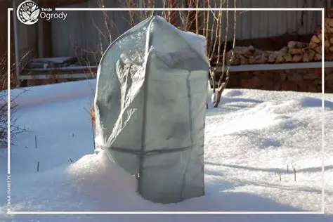 Ochrona przed mrozem w przyrodzie