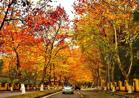 October Weather in Chongqing: Your Essential Guide to Autumn Adventures