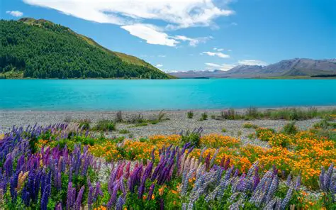 October Weather in New Zealand: Your Ultimate Guide to Springtime Adventures