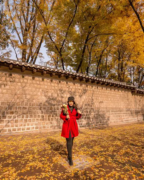 Seoul in October: Your Ultimate Guide to Autumn Weather, Activities & Packing