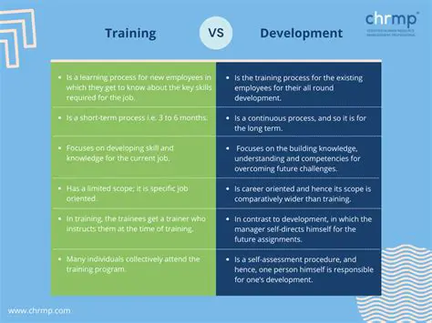 Offer training and development