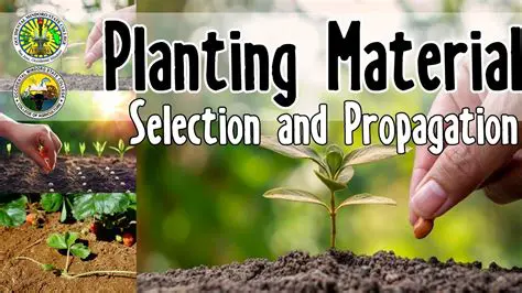 Optimal selection of planting materials