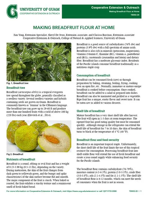 Optimization of Breadfruit Flour