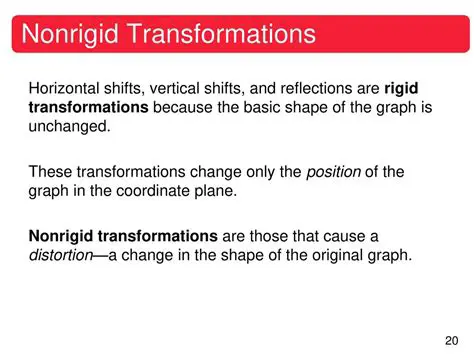 Options for Nonrigid Transformations