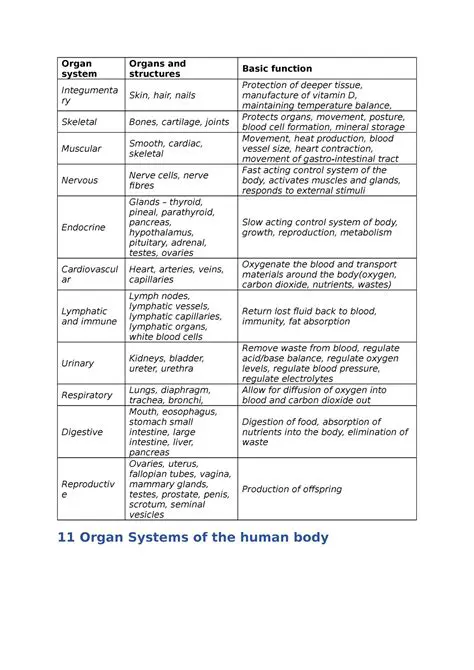Organ Systems and Their Components
