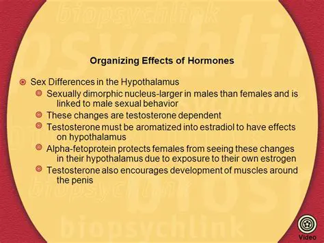 Organizing Effects of Hormones