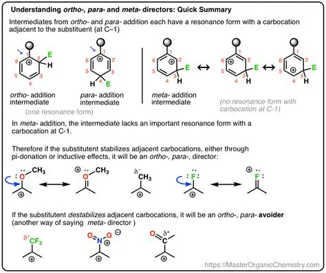 Ortho and Meta Substituents