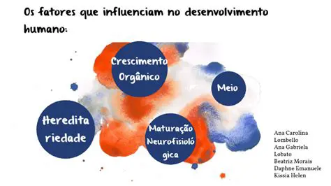 Os Fatores que Influenciam o Desenvolvimento do Empreendedorismo