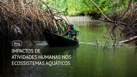 Os impactos da atividade humana no mar