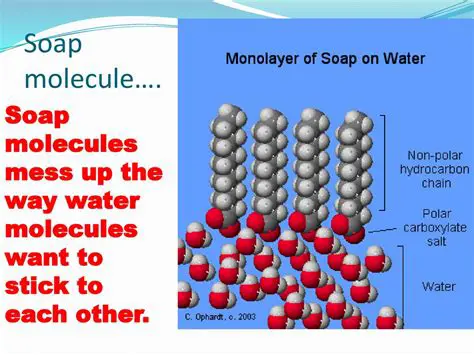 Other Molecules that Act Like Soap