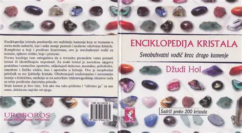 Otkrivanje Tajni Seaal: Sveobuhvatni Vodič za Razumijevanje i Istraživanje