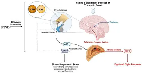 Overactivation of downstream signaling pathways