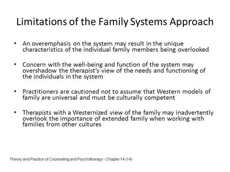 Overemphasis on individual factors