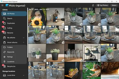 Overview of Ashampoo Photo Illuminator