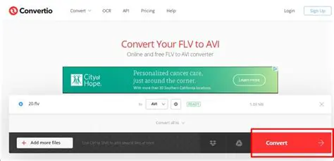 Overview of DoremiSoft FLV to AVI Converter