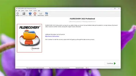 Overview of FILERECOVERY Enterprise
