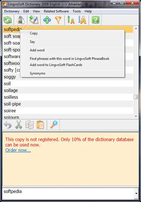 Overview of LingvoSoft Dictionary 2008