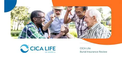Overview of the CICA LIFE Proposal System
