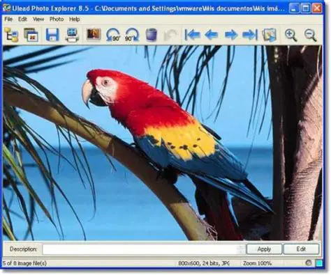 Overview of Ulead Photo Explorer Pro