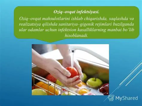 Ovqat va Suv Qabul Qilinishi Jarayoni