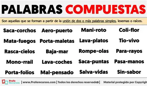 Palabras compuestas con prefijo
