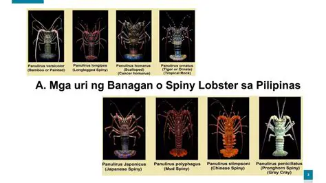 Pangisdaan ng Davao del Sur