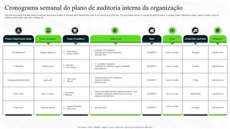 Passos para Realizar uma Auditoria do Programa