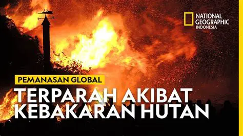 Pemanasan Global dan Kebakaran Hutan