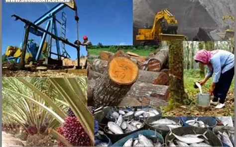 Pengelolaan Sumber Daya Alam Tradisional di Tepi Danau Toba