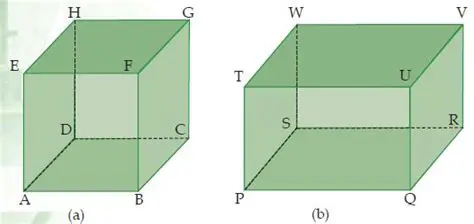 Pengertian Kubus dan Balok