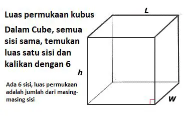 Pengertian Luas Permukaan Kubus