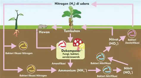 Pengubahan Nitrogen dari Udara