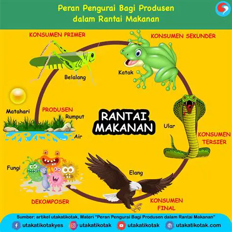 Peran Ular dan Jamur dalam Rantai Makanan
