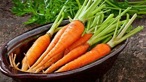 Perbedaan Utama antara Protection dan Wortel Serat