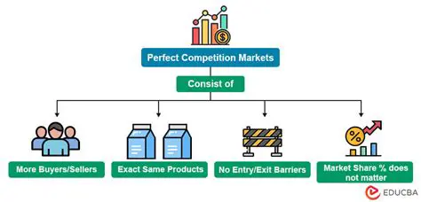Perfect Competition Market