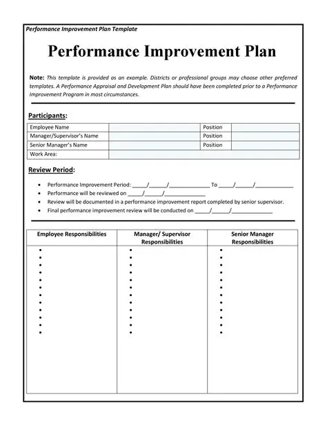 Performance Improvement Plan