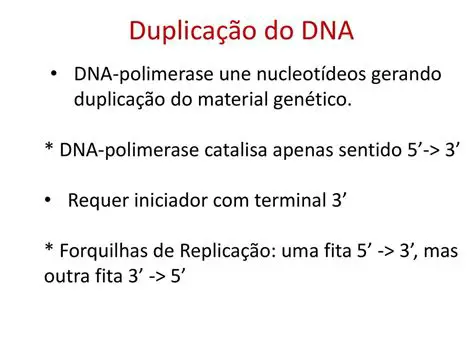 Perguntas e Respostas sobre a DNA Polimerase
