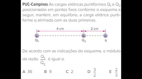 Perguntas e Respostas sobre a Figura da Carga Puntiforme