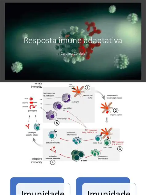 Perguntas e Respostas sobre a Resposta Imune Adaptativa